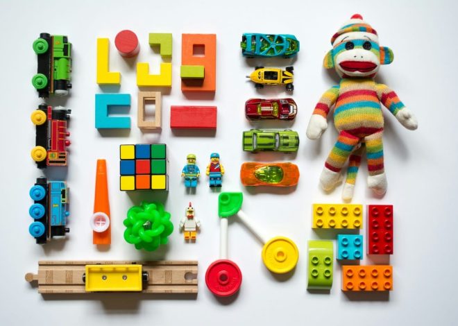 Discover the Must-Have Toys for 2024 Holidays!